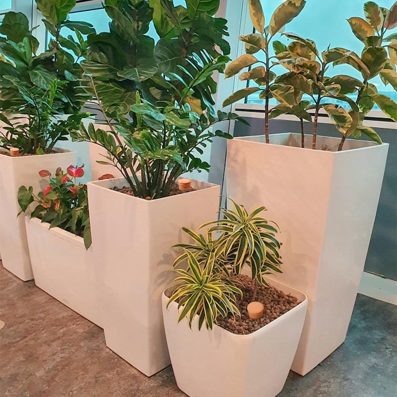 8pcs Ollas Self Watering Terracotta Planter Terra Cotta Clay Watering