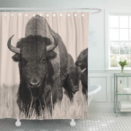 Emvency Decorative Shower Curtain Head Bison Buffalo in Sepia The Herd of Shot One Animal 72"x72" Waterproof Bathroom Shower Curtain Set with Hooks