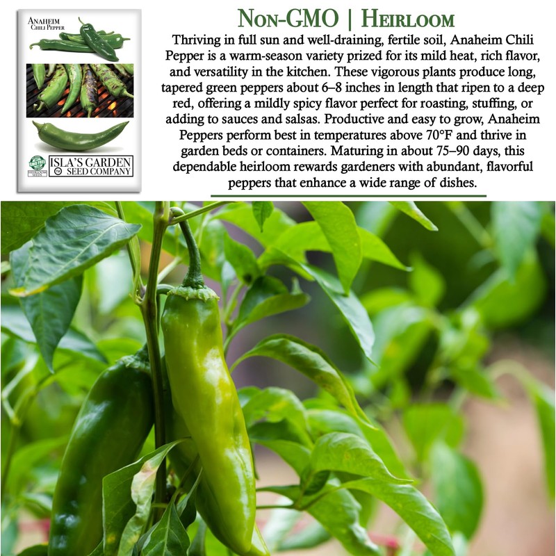 Anaheim Chili Pepper Seeds for Planting (Capsicum annuum) – 100+