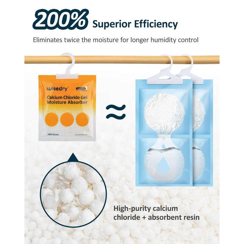 wisedry 100 Gram Moisture Absorber Packets of 10