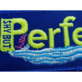 Voyager NEW Vintage Voyager Shy But Perfect Retro embroidered patch Iron-on or sew Cool!