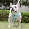 Mercano Soft Mesh Dog Harness and Leash Set, No-Chock Step-in