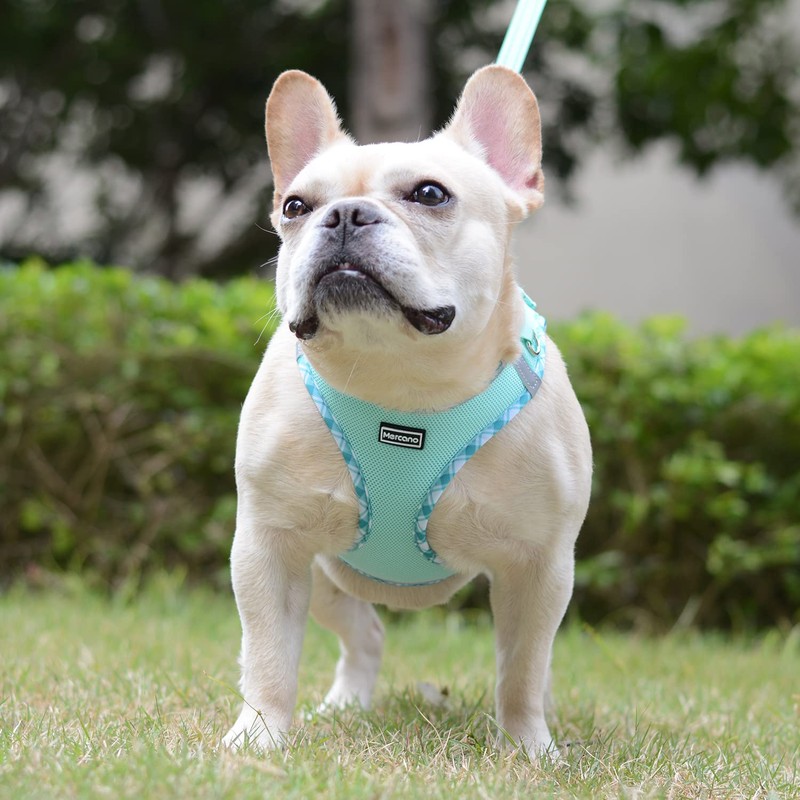 Mercano Soft Mesh Dog Harness and Leash Set, No-Chock Step-in