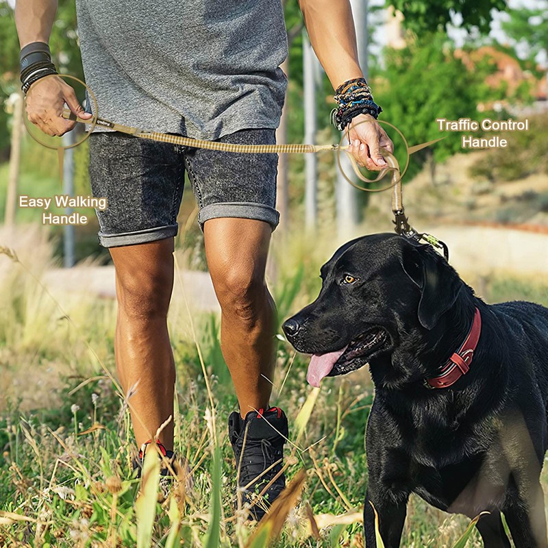 Raipult Heavy Duty Tactical Bungee Dog Leash, 4-6FT No Pull
