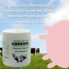 Balsamo Blanco Y Ubresol Pomada Caliente Golpes Unguento