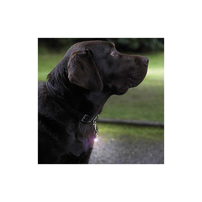 Rosewood Reflective Safety Range Safety Blinker Light