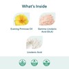 Bettervits Primrose Oil | Potent Formula | Naturally sourced ingredients