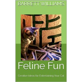  Feline Fun: Creative Ideas for Entertaining Your Cat (Whiskers and Paws: The Enchanting World of Pet Cats)