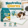 Dry Pet Tapete Entrenador para Perro de 30 Piezas
