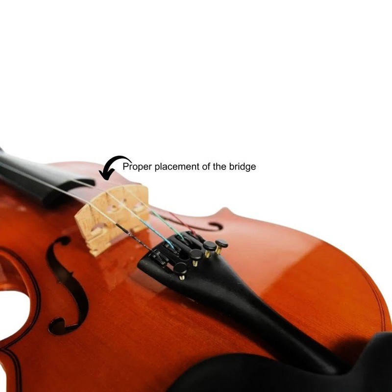 Violin Bridge 4/4 High-Quality Solid Wood Bridge for Full-Size Violins