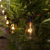 CXLHO 25Pack E17 Bulbs ST40 Replacement Incandescent Light Bulbs, 7