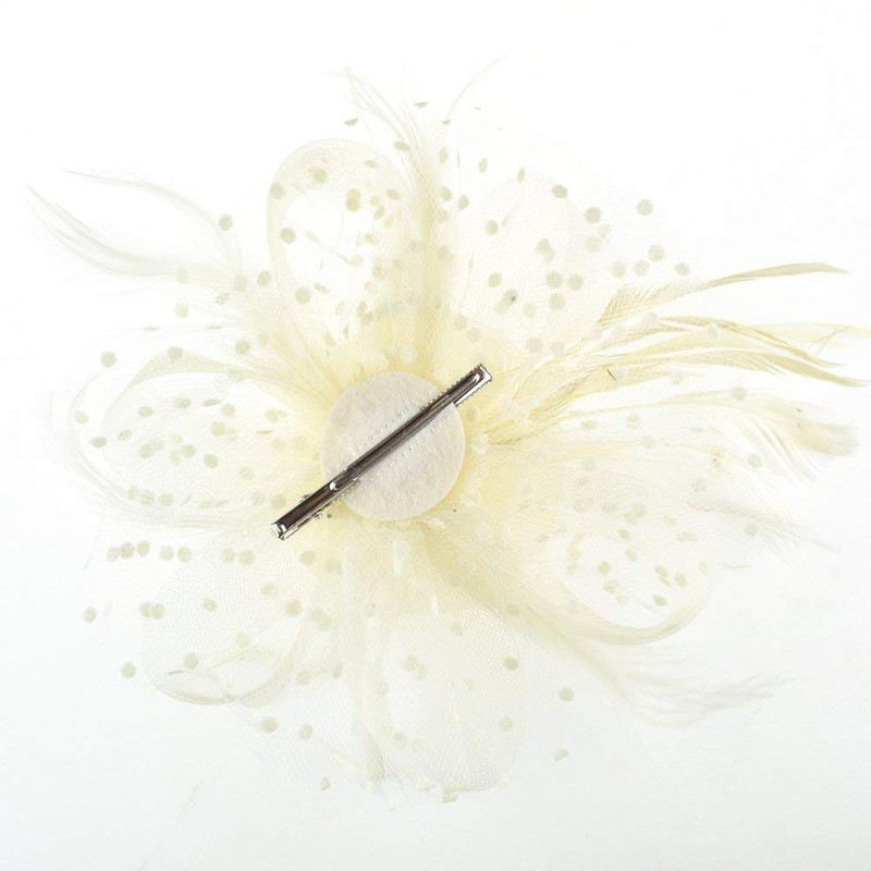 DRESHOW Fascinator Hat for Women, Pillbox Hat with Veil, Headband
