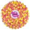 Smarty Stop Sour Gummy Candy, Mini Size, Fizzy (1 Pound
