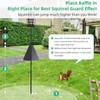 Wide Squirrel Baffle for Bird Feeder Pole, Outside Pole Mount