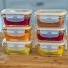 Sage Spoonfuls Borosilicate Glass Baby Food Containers with Lids -