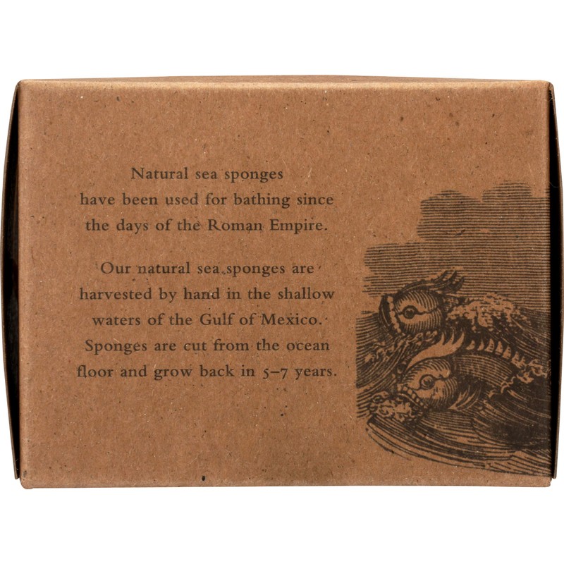 Baudelaire, Sea Sponge Caribbean Wool 4.5 In, 1 Count