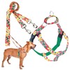 2 Hounds Design - Freedom No-Pull Harness & Training Leash