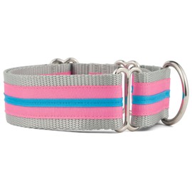 If It Barks - 1.5" Martingale Collar for Dogs - Stripe Design - Adjustable - Strong and Comfy Nylon - Ideal for Training - Made in USA - Large, Hot Pink/Turquoise