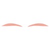 puriyudo-ru Lid Well For aite-pu Natural Big (30 Pairs + 10 Pairs,