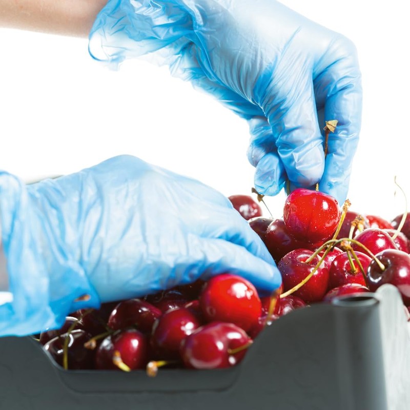 Vinyl Gloves – Perfect For Pack Of 100, s, blue