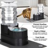 RIZZARI Automatic Cat Water Dispenser: Black 7L Elevated Fountain -