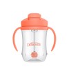 Dr. Brown's Dr. Brown's Milestones, Baby's First Straw Cup Sippy