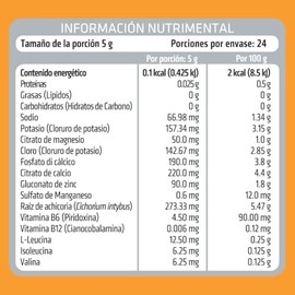HEALTHADDICTION Polvo de Electrolitos con BCAA’s Prebióticos y Vitaminas B – Sin Azúcar ni Calorías – Hidratación y Recuperación – Sabor Naranja – Fórmula Baja en Sodio y Libre de Gluten – 120g