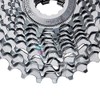 Miche Unisex's Primato 10 Speed Cassette, Campagnolo, 12/25