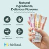 HABITUAL Daily Electrolytes Sachets | Low Sugar Electrolytes Powder with