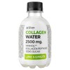 Active+ Collagen Water 2500mg VERISOL™ Lime & Ginger 240ml