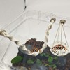 Jumping Spider Rope Bridge Swings with Magnets, Magnetic Jumping Spider