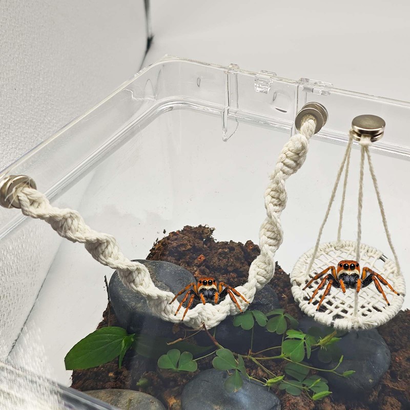Jumping Spider Rope Bridge Swings with Magnets, Magnetic Jumping Spider