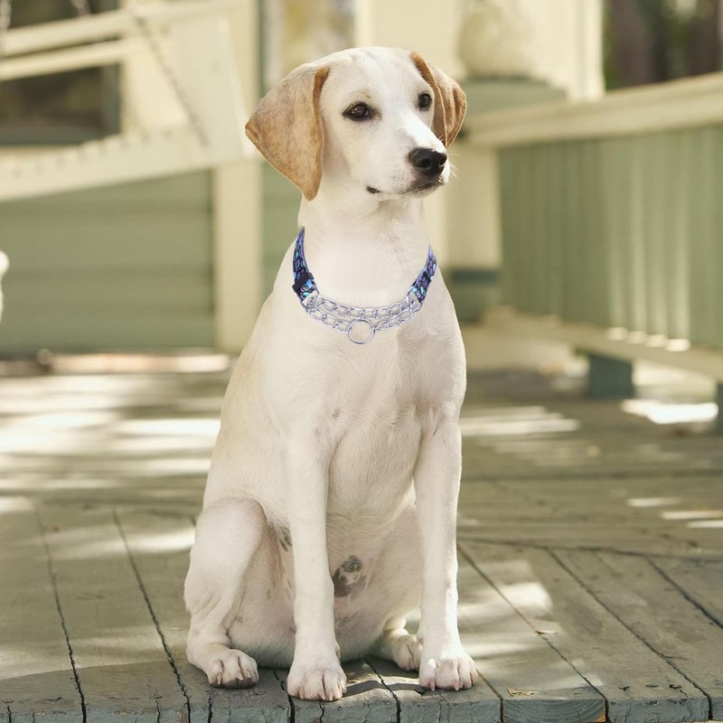 Bbmmayy Martingale Collar, Training Dog Collar, Stainless Steel Chain Pet