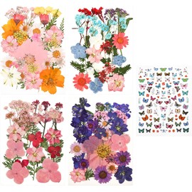 Kit de flores secas prensadas, hojas prensadas naturales para arte de resina, decoración botánica, relleno de molde epoxi para álbumes de recortes, fabricación de joyas