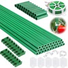 Cludoo 96PCS Garden Stakes Set with 30 Sets Fiberglass Tomato