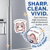 (2 Pack) Seize The Meow-Ment Magnets - Cute Kawaii Kitten