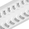 DYU1 Half False Eyelashes, 10 Pairs, Russian Strip Lashes, D/DD