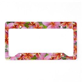 CafePress Pink Plumeria Flowers License Plate Holder Aluminum License Plate Frame, License Tag Holder