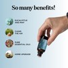 Breathe Essential Oil for Diffuser - Invigorating and Refreshing Breathe