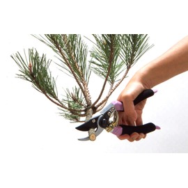 プロ仕様 スーパーハイパワー剪定鋏