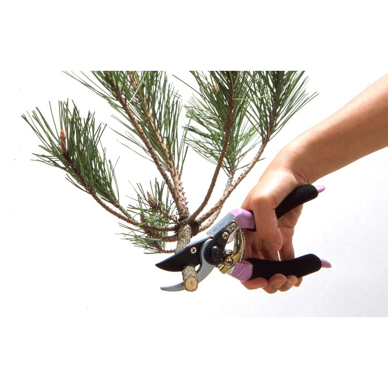 プロ仕様 スーパーハイパワー剪定鋏