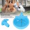 RNL RabbitNippLes.com 10Pcs Rabbit Watering Cup Drinking Feeder Bowl waterer