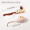 ASIRYVA 6 Pack Catnip Mouse Toys for Indoor Cats, Catnip