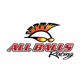 All Balls 26-1333 CARBURETOR REPAIR KIT Fits 2002 Honda TRX 400EX Sportrax