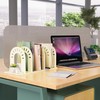 ACTICO Adjustable Vertical File Sorter, Sturdy Plastic Expandable Upright File