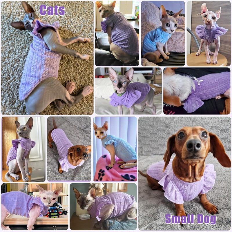 DENTRUN Sphynx Hairless Cats Shirt Pullover Kitten Clothes with Flounced