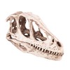 Resin Dinosaur Skull Model Simulated Animal Skeleton Home Office Decor