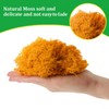 Iceland Moss, Moss in 5 Different 200 g for Moss