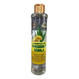 Shampoo De Jengibre Y Sábila 630 Ml Nolisan Nutre Fortalece