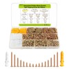 M3 Small Screws Set, Wood Screws Assortment Kit, 500pcs Tiny